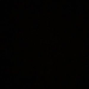 Meet your Posher, Ella